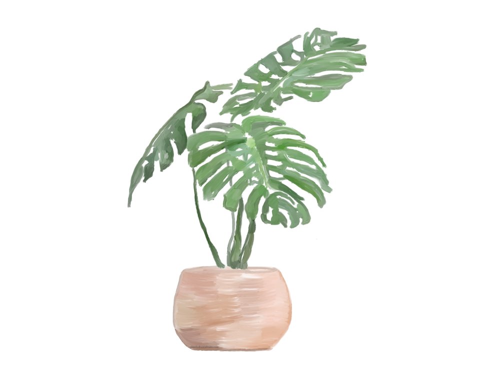 Native Roots & Vines Help Center home page